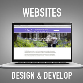 Professional website design and development in Arizona, mesa, tempe, chandler, gilbert.